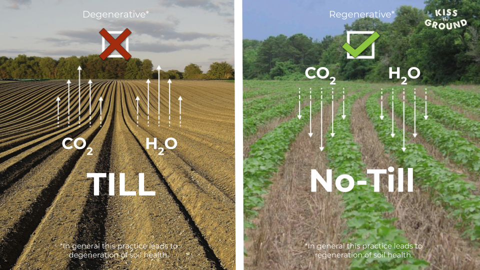 Till vs no till image from Kiss the Ground