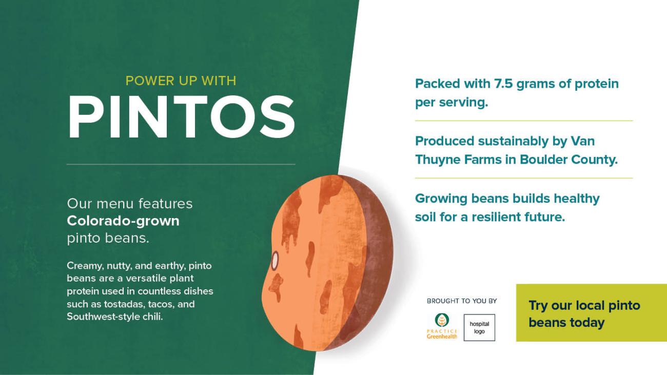 Colorado Pinto beans