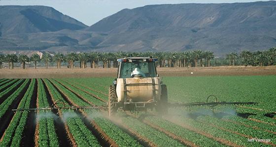 Spraying pesticides on lettuce AZ_Jeff Vanuga