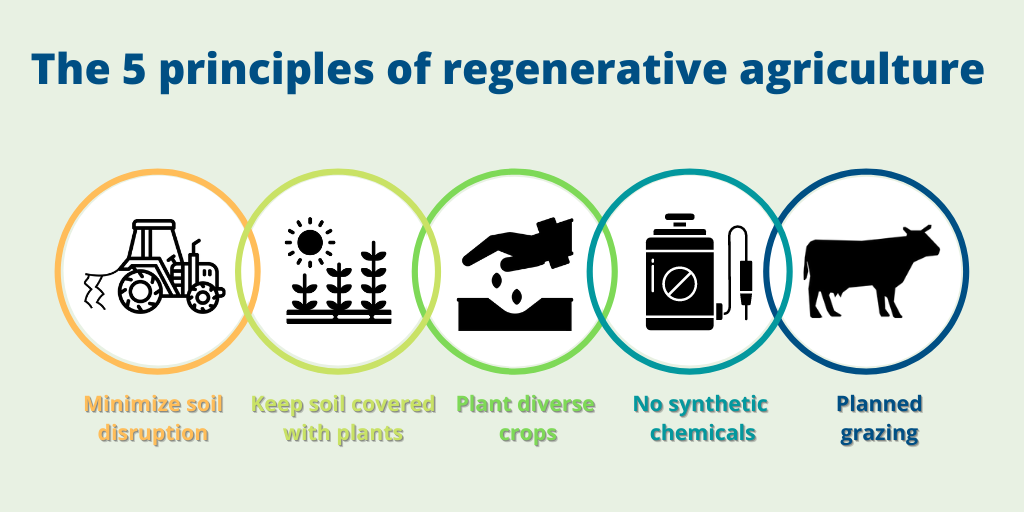 The 5 principles of regenerative agriculture