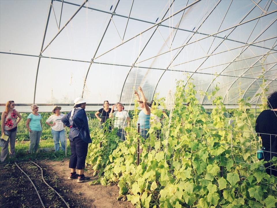 Women in Agriculture farm