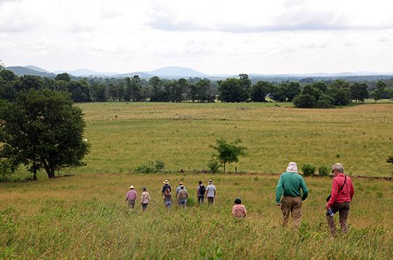 group_walking_cig_grant_pasture_walk_over_jordan_farm_june_2016_credit_marco_sanchez