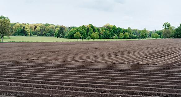 Healthy soil on farm by Kai Oberhauser