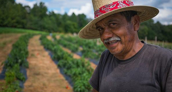 local farmer